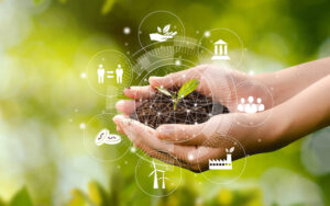 Your money, your priorities